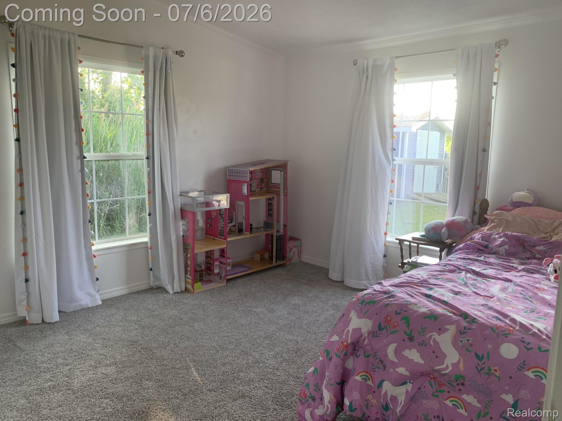 4168 Harris Road Fort Gratiot, MI 48059 - Photo 23 of 30 Carpeted room featuring two double-hung windows with white frames and sills, crown molding, and white wall finishes