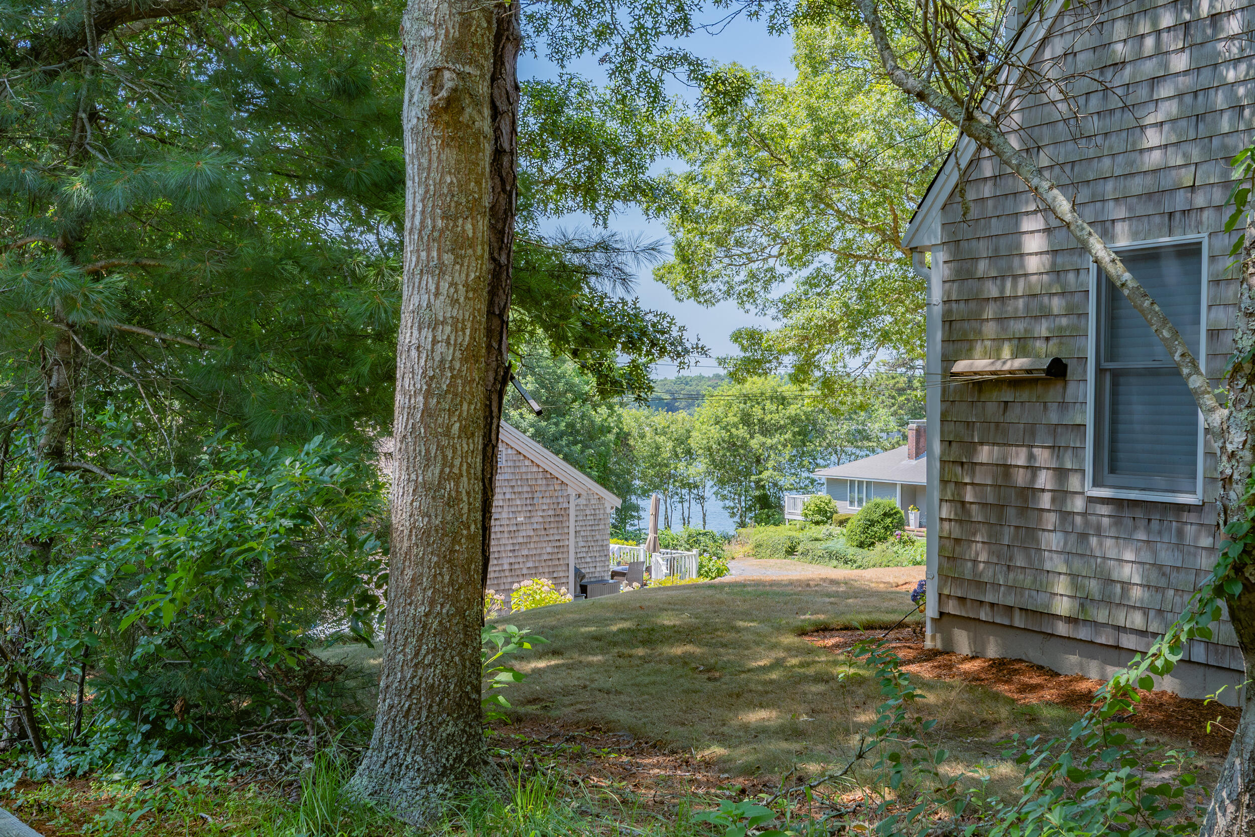 64 Old Fish House Road South Dennis, MA 02660 - Photo 54 of 72 a backyard of a house with lots of green space