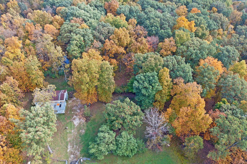 5405 Red Bank Road Galena, OH 43021 - Photo 53 of 67 Gallery Image 53