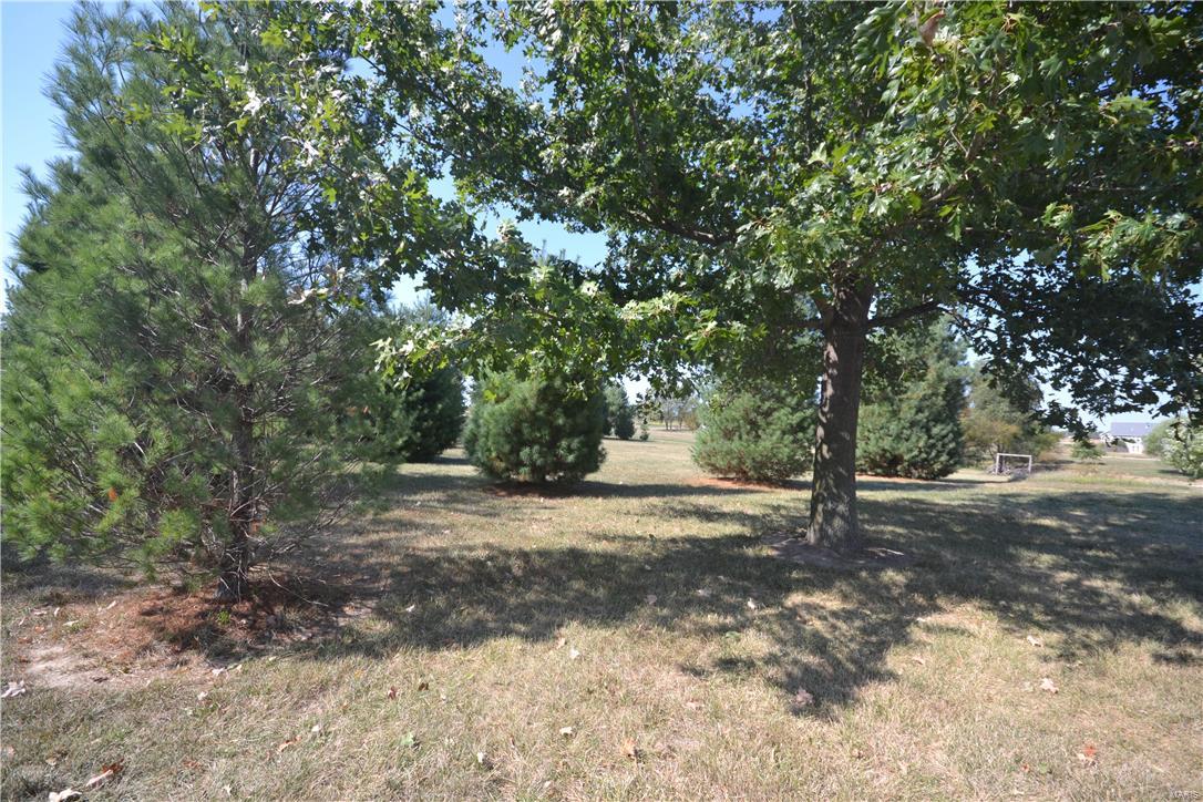 6033 Lakeside Drive Waterloo, IL 62298 - Photo 39 of 42 Gallery Image 39