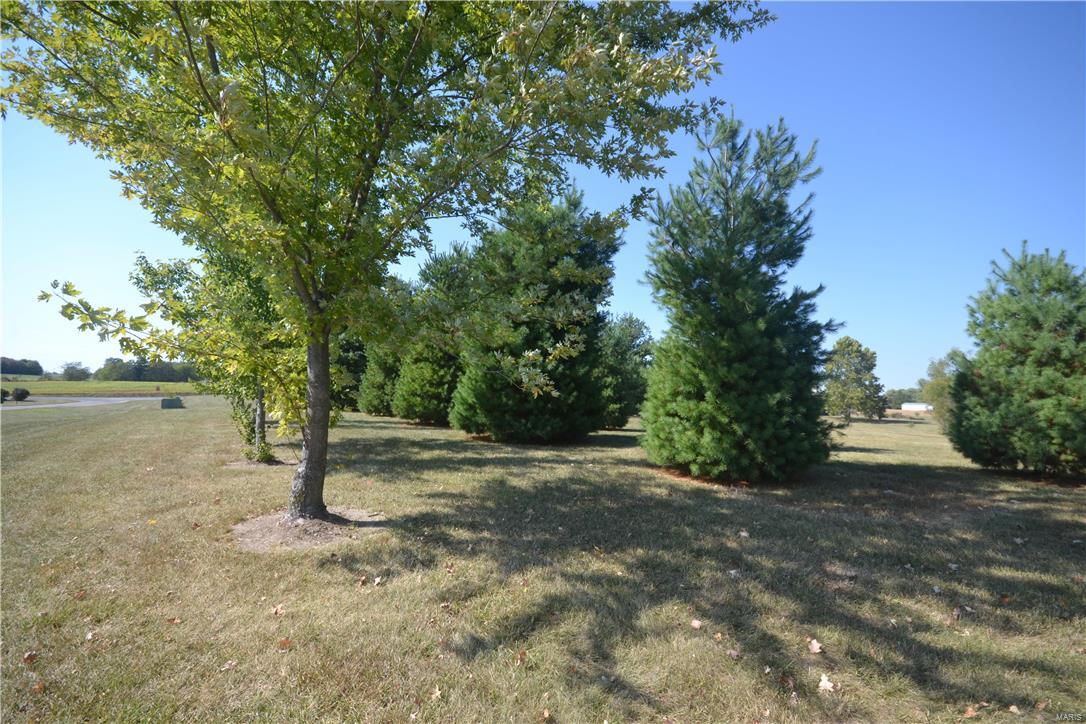 6033 Lakeside Drive Waterloo, IL 62298 - Photo 41 of 42 Gallery Image 41