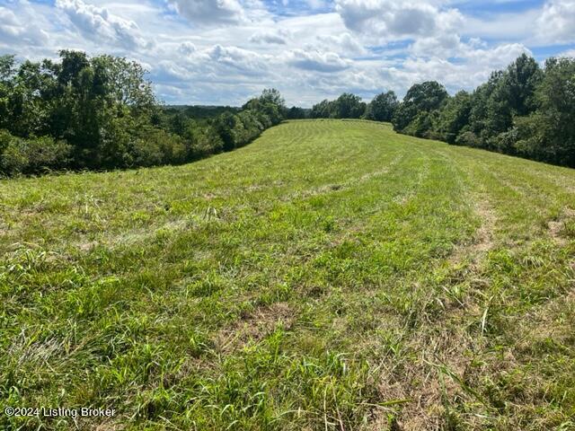 3541 Hardesty Ridge Road Taylorsville, KY 40071 - Photo 5 of 28 Land