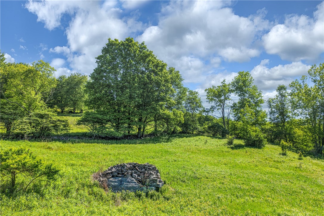 26 Federal Hill Road Delhi, NY 13753 - Photo 45 of 50
