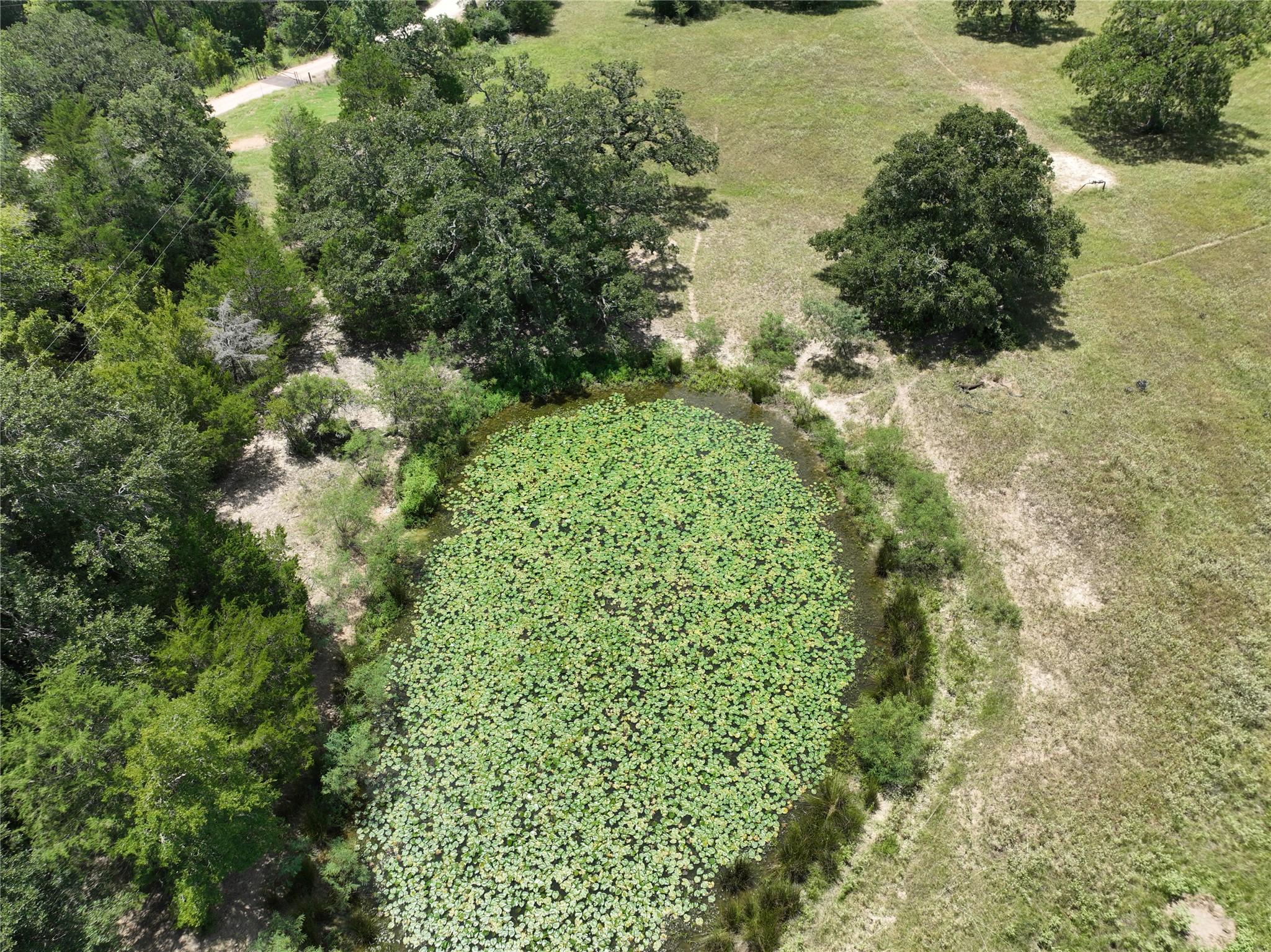 127 Rd Ledbetter Tx 78946 Road Ledbetter, TX 78946 - Photo 2 of 9 a view of a garden with plants