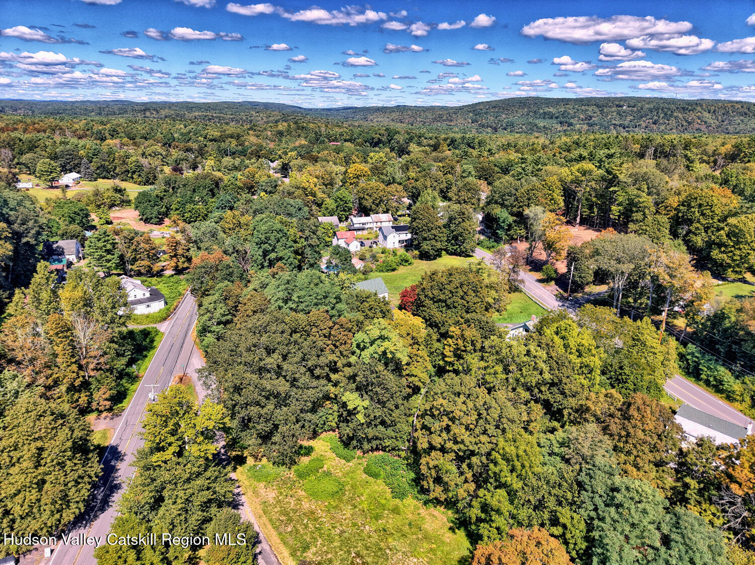 606 Main Street Cairo, NY 12413 - Photo 65 of 70 a view of a yard with swimming pool