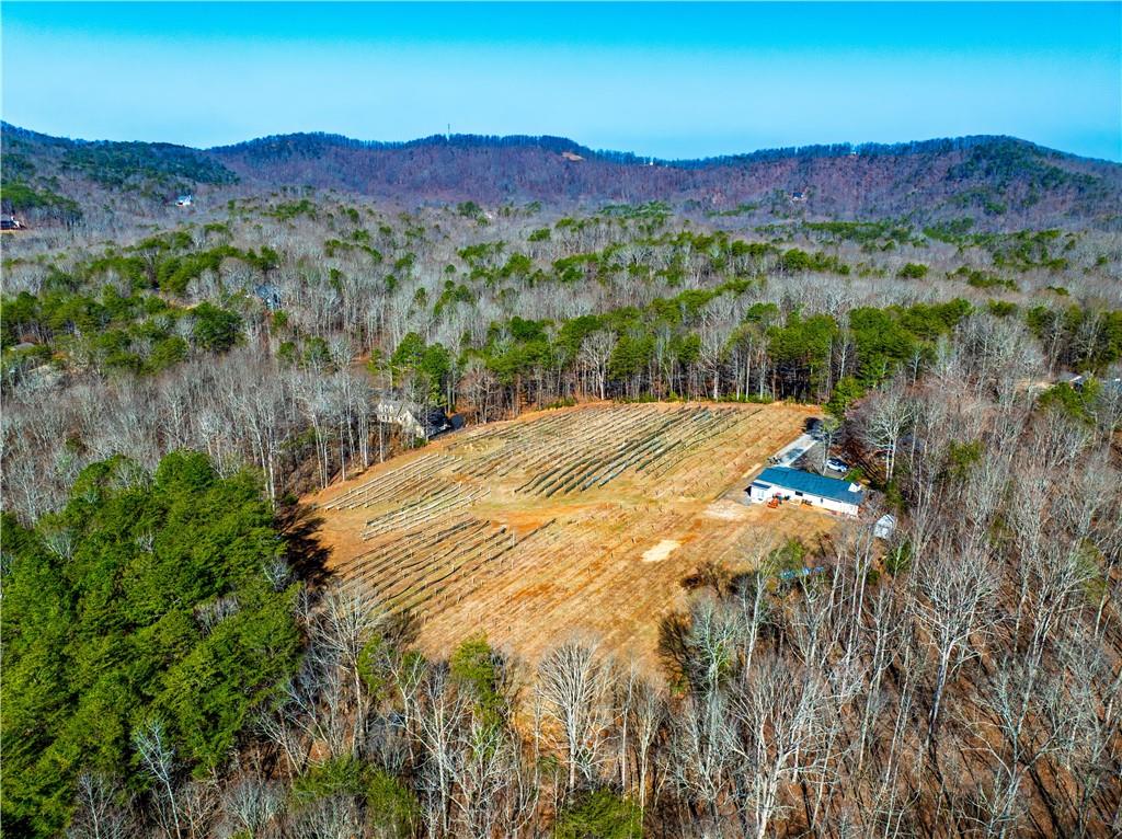 110 Rathgeb Trail Jasper, GA 30143 - Photo 11 of 62 a view of a lush green hillside and a houses