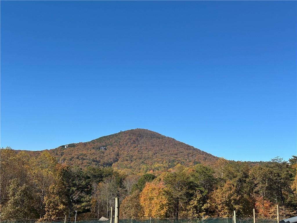 110 Rathgeb Trail Jasper, GA 30143 - Photo 54 of 62 a view of a mountain