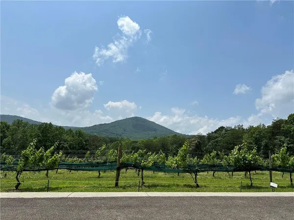 $1,699,900 | 110 Rathgeb Trail, Jasper, GA 30143