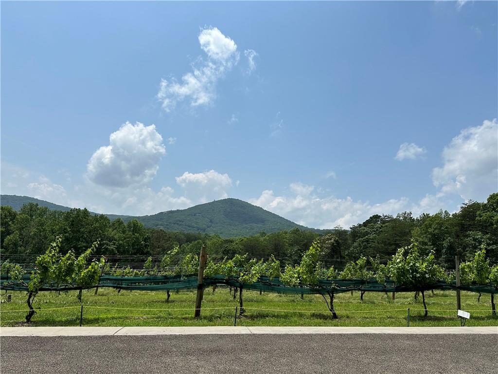 110 Rathgeb Trail Jasper, GA 30143 - Photo 56 of 62 a view of a fountain in a big yard