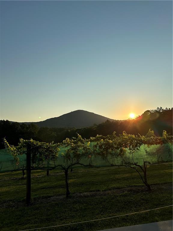 110 Rathgeb Trail Jasper, GA 30143 - Photo 57 of 62 a view of a town with mountains in the background