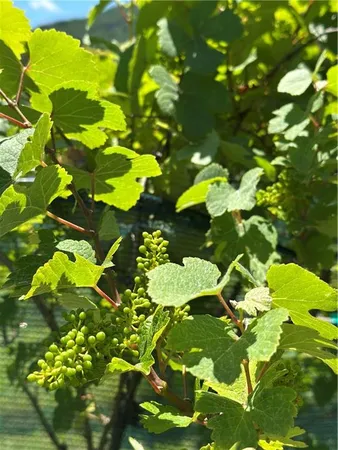 $1,699,900 | 110 Rathgeb Trail, Jasper, GA 30143