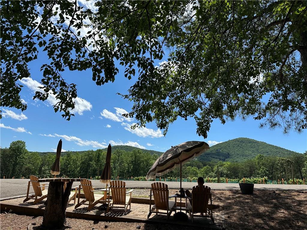 110 Rathgeb Trail Jasper, GA 30143 - Photo 60 of 62 a view of a swimming pool with a patio