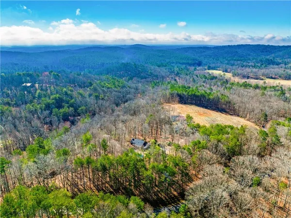 a house with trees in the background
