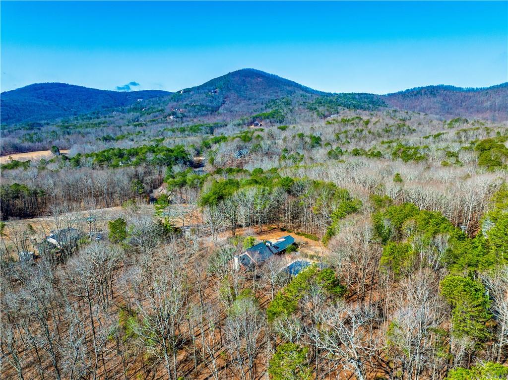 110 Rathgeb Trail Jasper, GA 30143 - Photo 7 of 62 a view of a lush green hillside and a houses