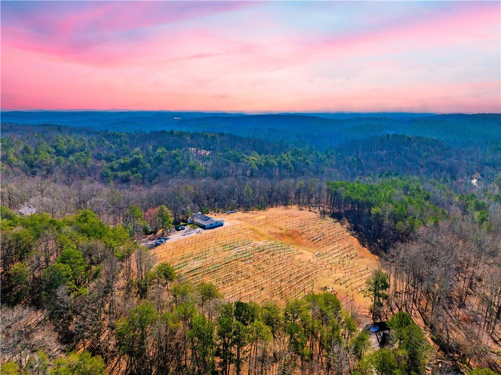 110 Rathgeb Trail Jasper, GA 30143 - Photo 10 of 62 a view of a backyard