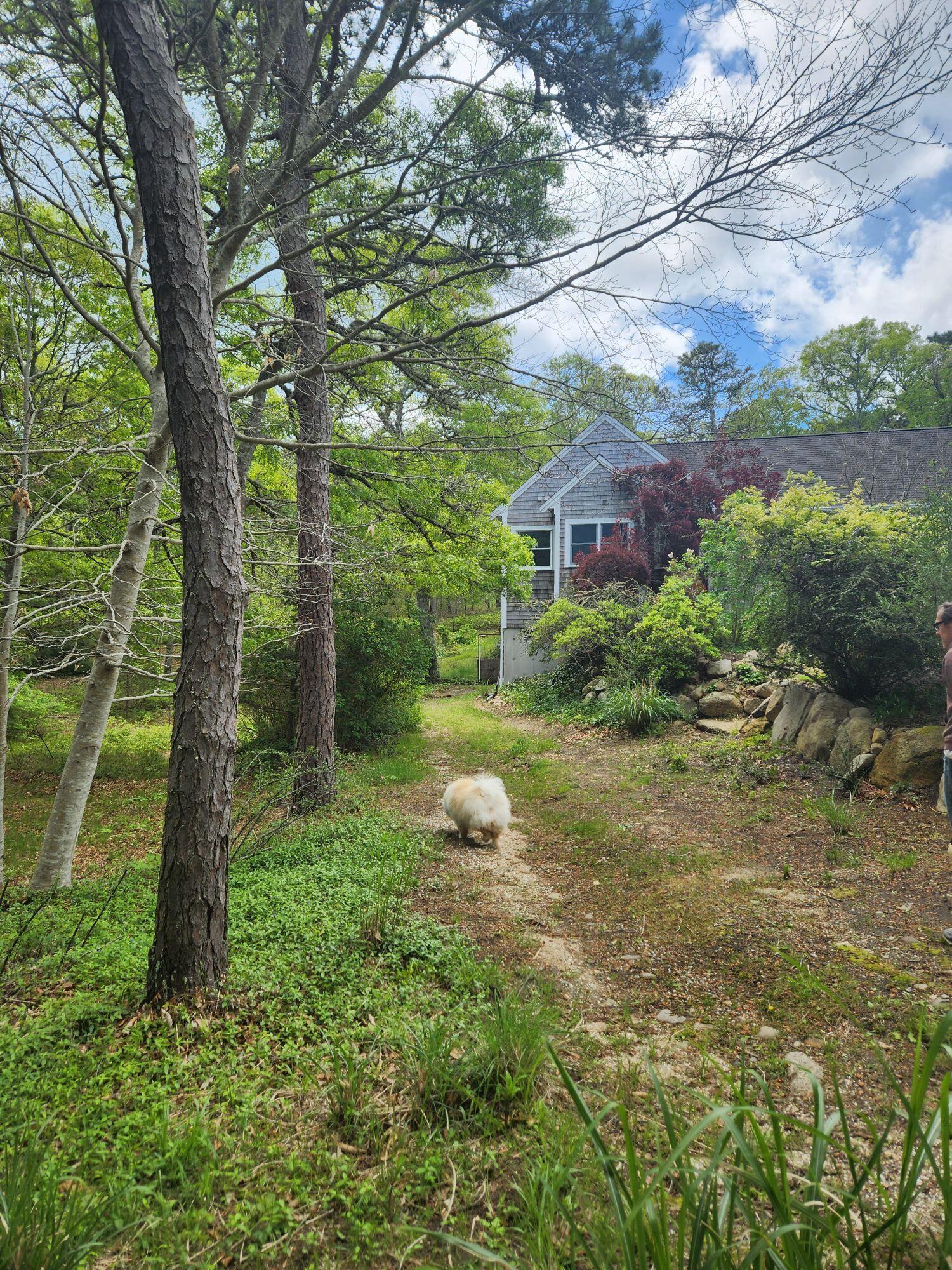 988 Crowells Bog Road Brewster, MA 02631 - Photo 49 of 92 Resized_20250524_114512