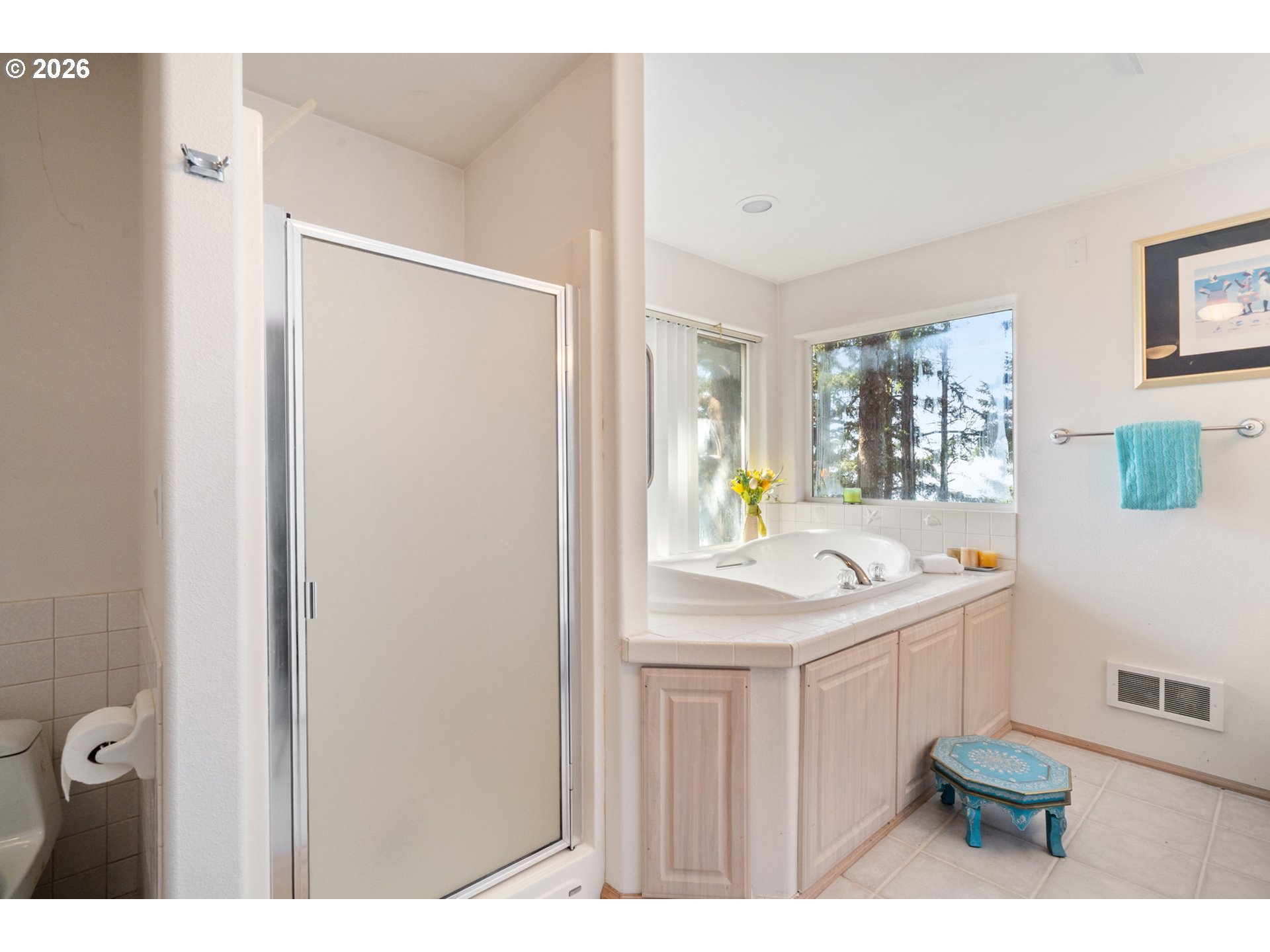 6095 Huckleberry Lane Oceanside, OR 97141 - Photo 25 of 48 a bathroom with a sink a toilet and mirror