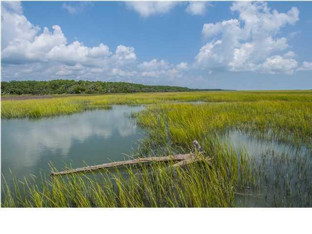 4145 Longmarsh Road, Unit LOT 20 Awendaw, SC 29429 - Photo 5 of 8 longmarsh2