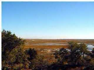 4145 Longmarsh Road, Unit LOT 20 Awendaw, SC 29429 - Photo 6 of 8 longmarsh6