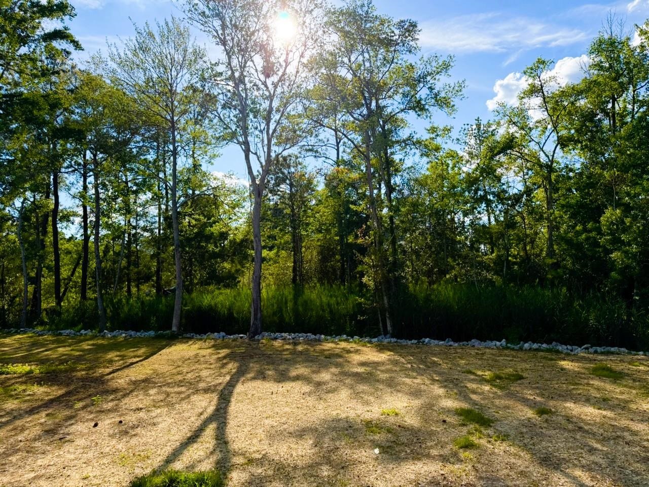 67 Ricefield Place Georgetown, SC 29440 - Photo 28 of 33