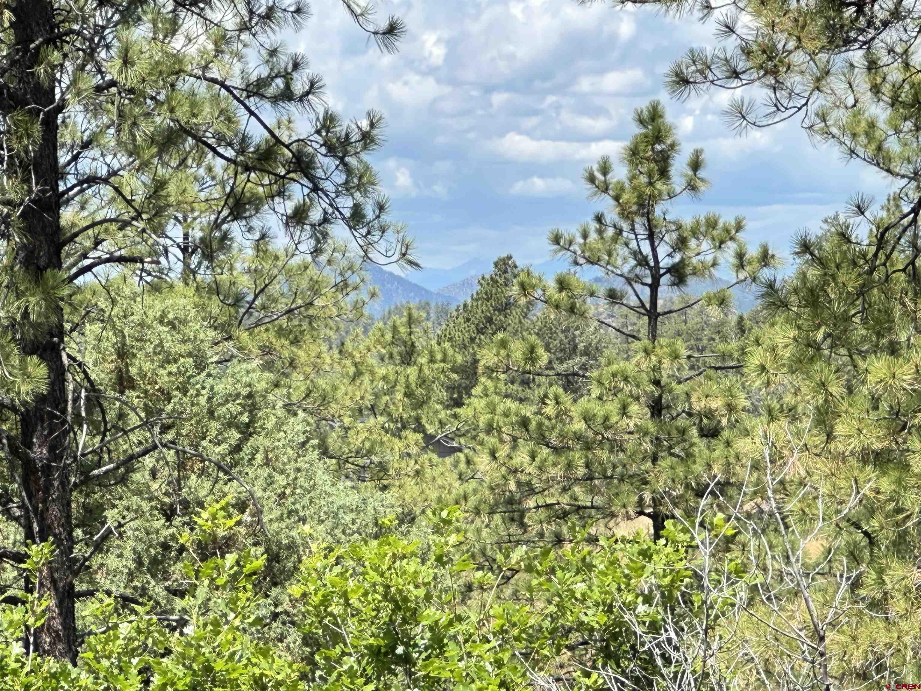 121 Engineer Point Pagosa Springs, CO 81147 - Photo 13 of 43