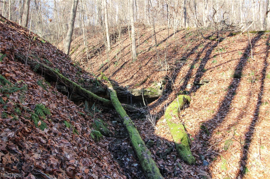 Mercer Rd Street St. Clairsville, OH 43950 - Photo 28 of 34 View of mother earth's splendor