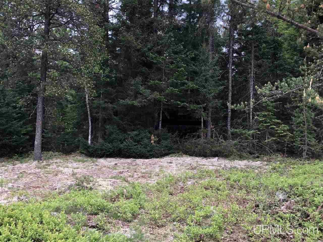 Tbd River Road, Unit PARCEL 4 Gulliver, MI 49854 - Photo 12 of 13 Gallery Image 12