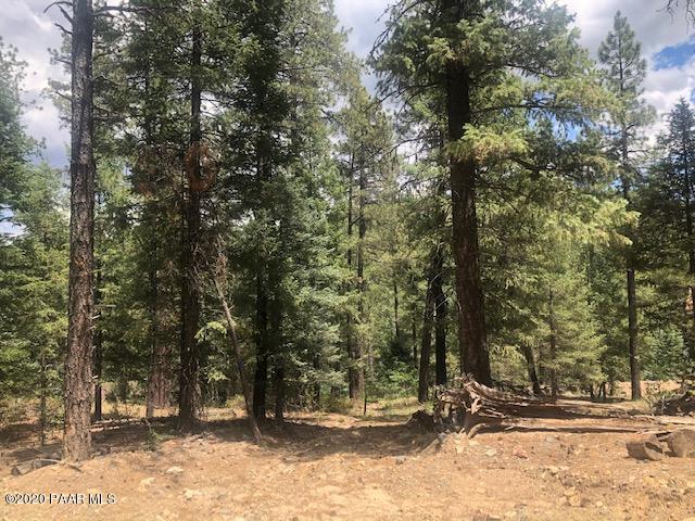 2925 Tunnel Road Prescott, AZ 86303 - Photo 3 of 18 Love Those Tall Pines!