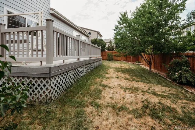 a view of a backyard with pathway