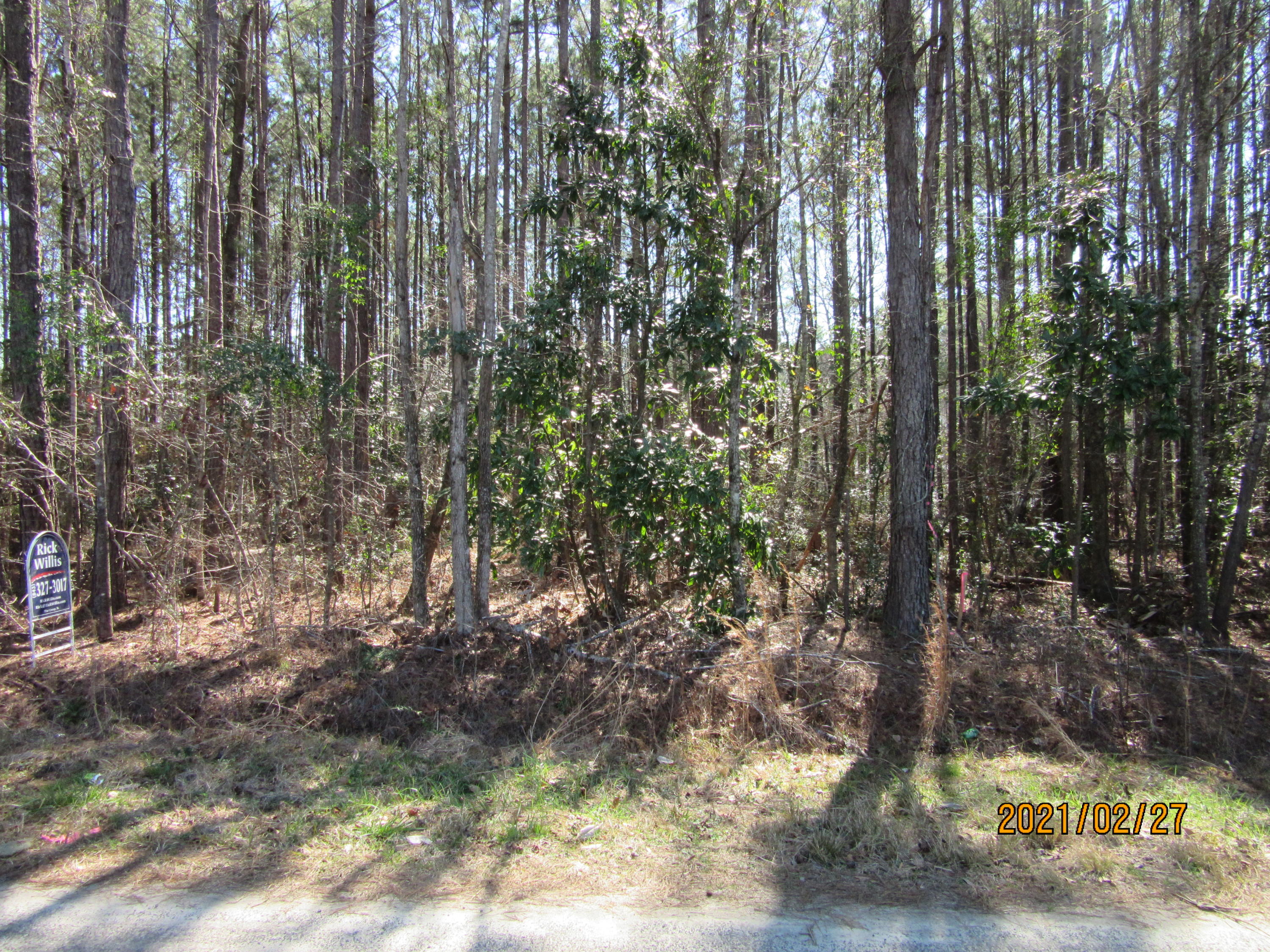 0 Cinnamon Road Summerville, SC 29483 - Photo 2 of 3 IMG_2956