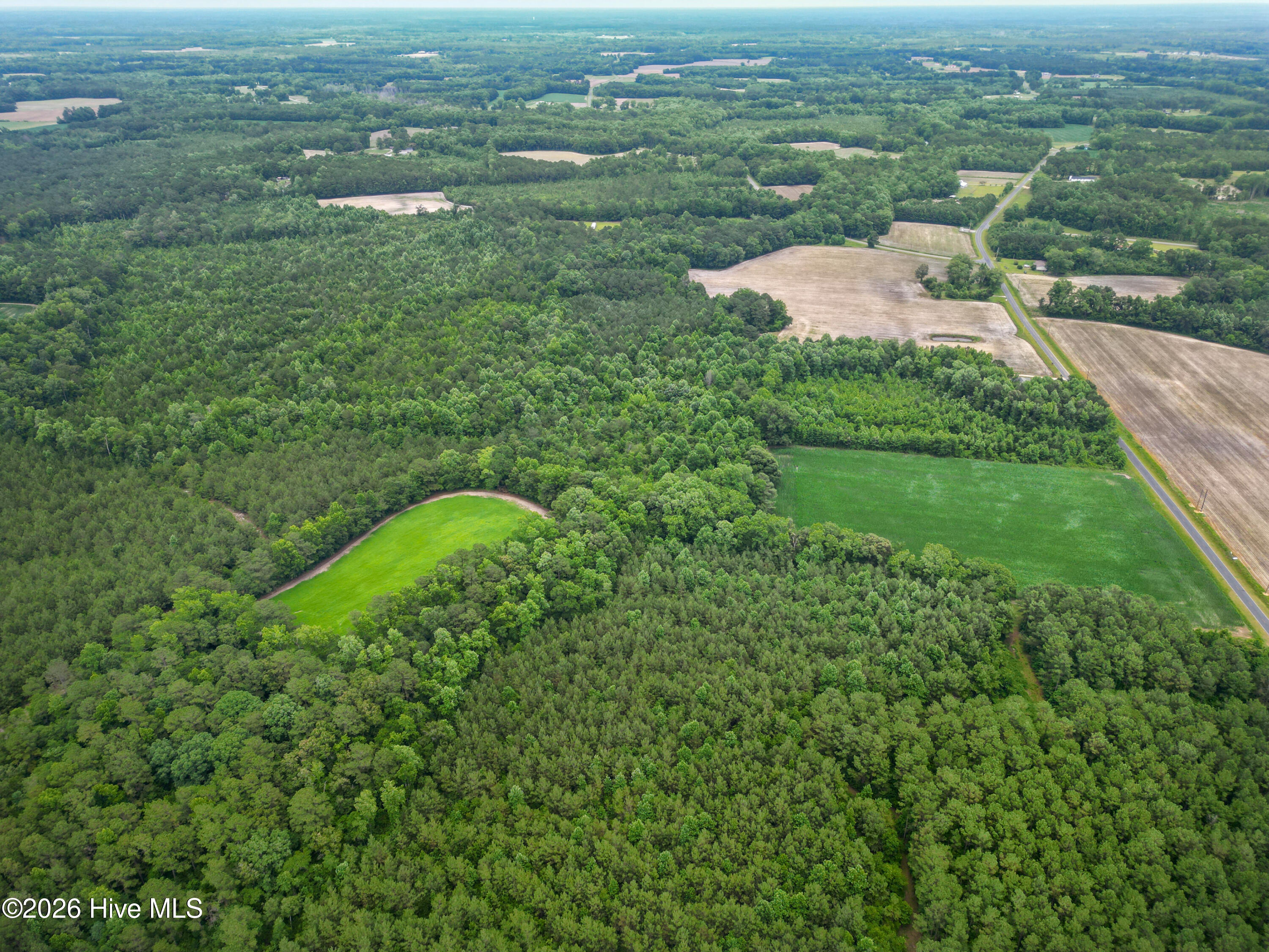 Tbd Farmers Union Road Clarkton, NC 28433 - Photo 5 of 13