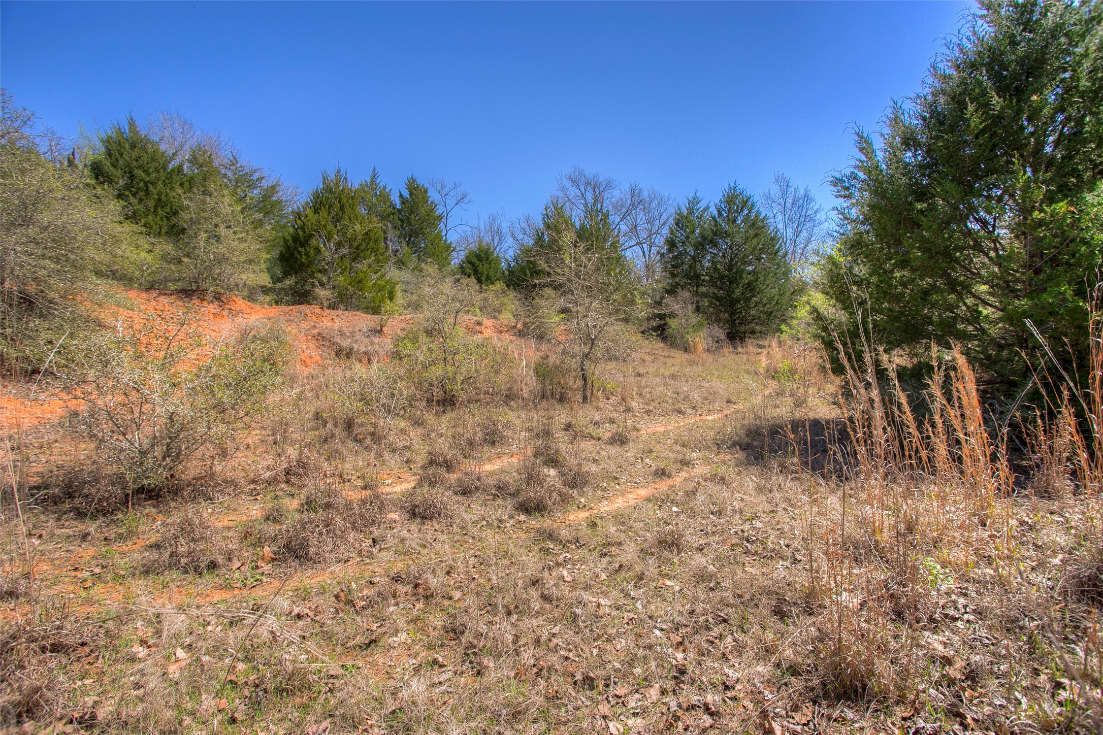 482 County Road 482 Normangee, TX 77871 - Photo 35 of 49