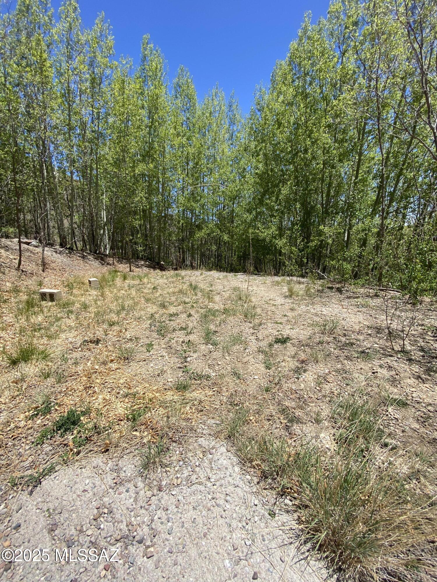 10991 East Carter Canyon Road, Unit 18 Mount Lemmon, AZ 85619 - Photo 5 of 8