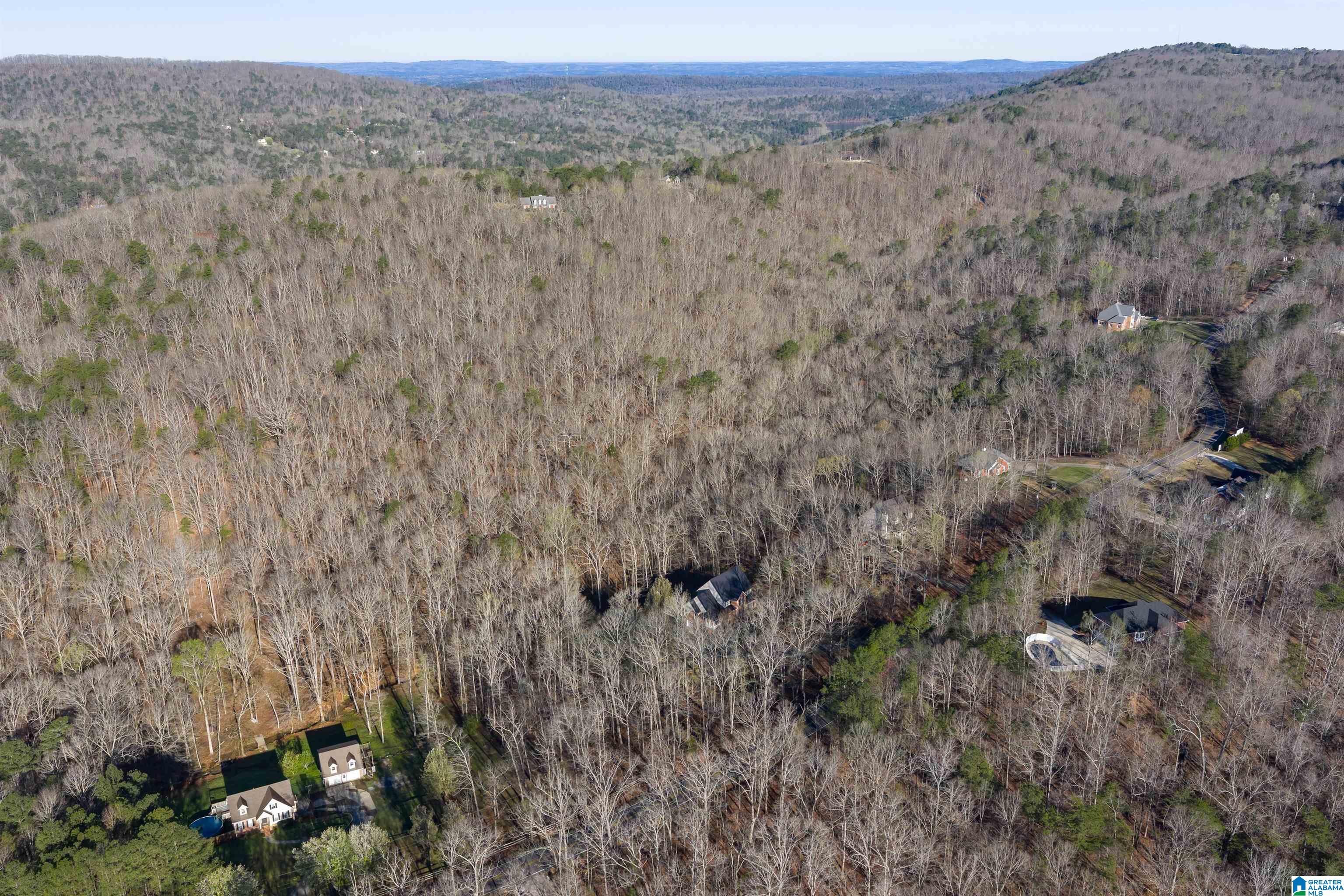 8560 Pine Mountain Road Pinson, AL 35126 - Photo 50 of 59