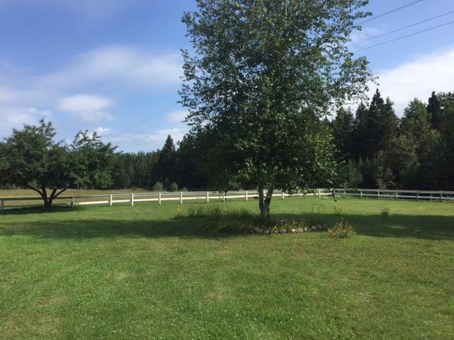 5358 Reams Road Alanson, MI 49706 - Photo 7 of 19 Gallery Image 7