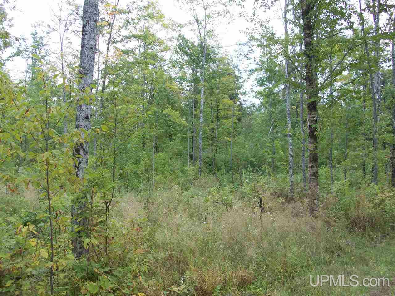 Tbd Fordville Road Foster City, MI 49807 - Photo 16 of 18