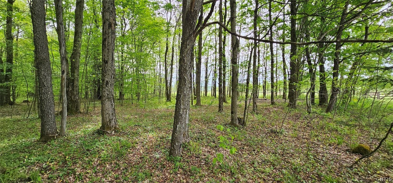 Sprouls Road Cortland, NY 13045 - Photo 29 of 48