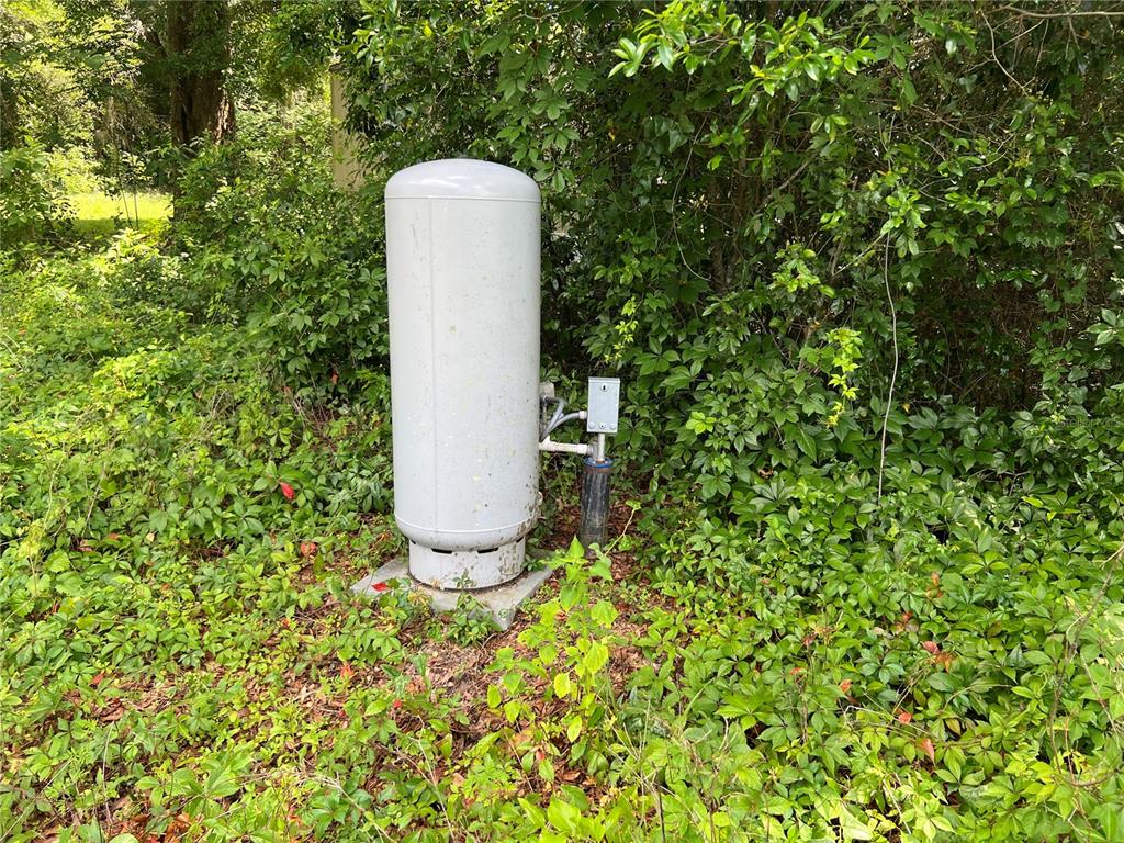 16075 Northwest 37th Terrace Reddick, FL 32686 - Photo 16 of 22 a close up of a plant in a garden