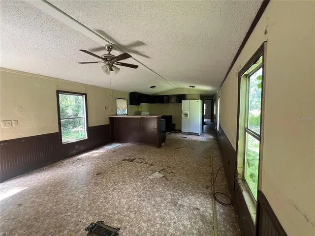 a close up of a plant in a garden