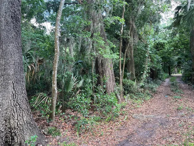 a view of a house with a tree