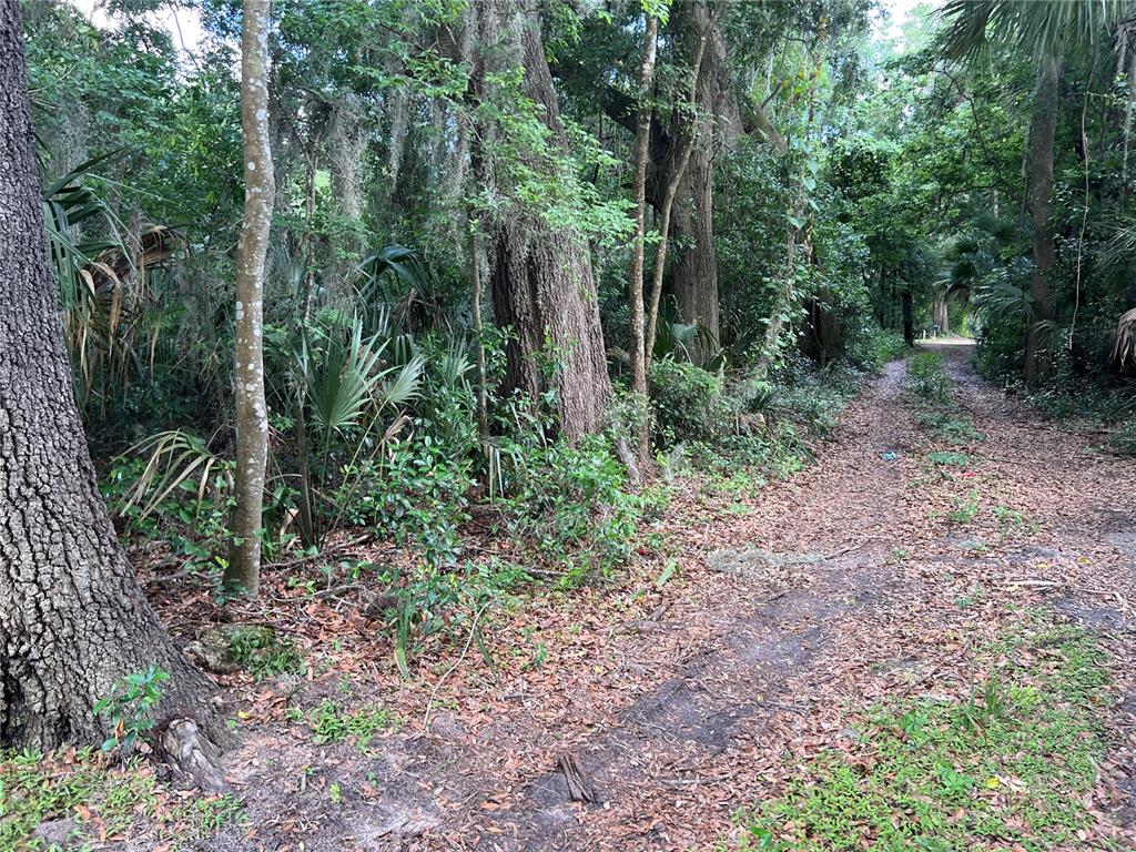 16075 Northwest 37th Terrace Reddick, FL 32686 - Photo 7 of 22 a view of outdoor space and green space