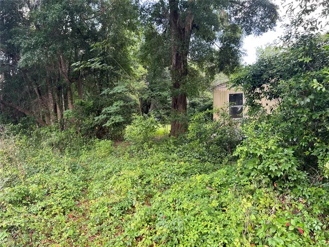 a view of a house with a tree