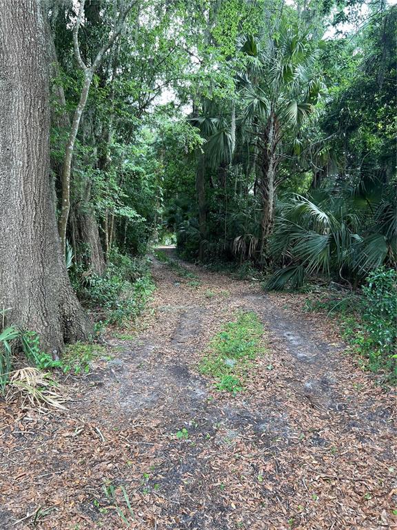 16075 Northwest 37th Terrace Reddick, FL 32686 - Photo 8 of 22 a view of backyard with green space