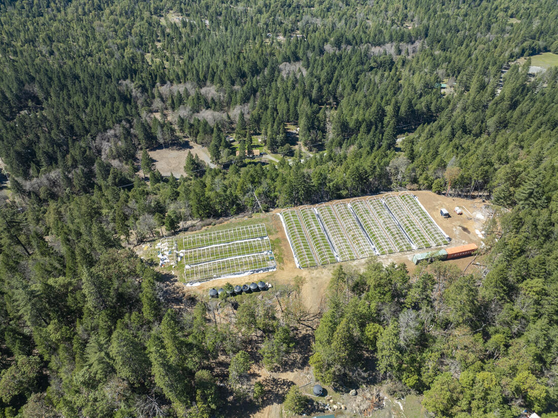 550 Terrace Heights Road Selma, OR 97538 - Photo 10 of 26 DJI_0007