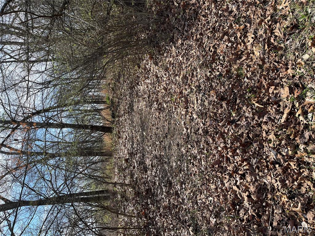 1455 Ridge Road Wildwood, MO 63021 - Photo 5 of 6