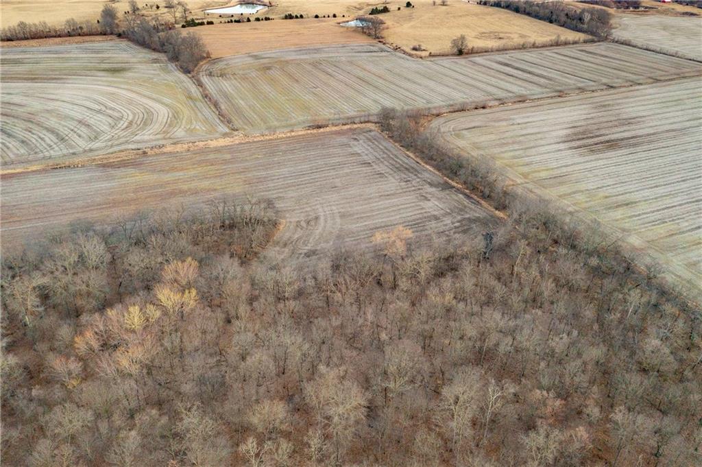 0 520th Road Knob Noster, MO 65336 - Photo 24 of 98