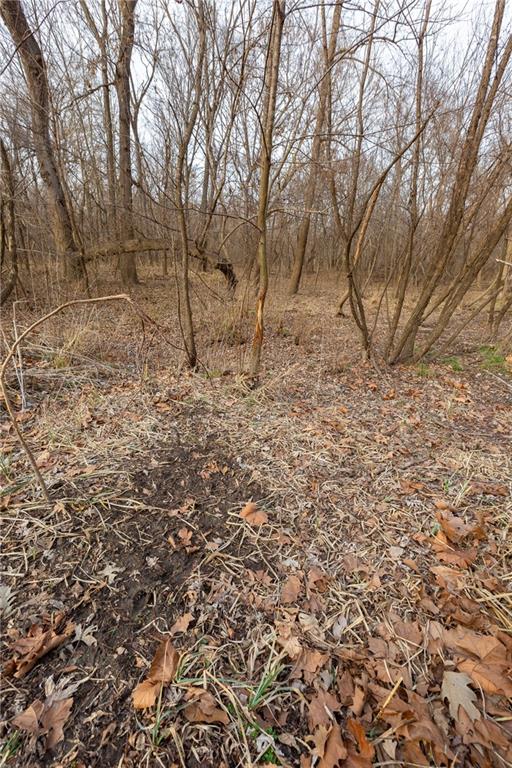 0 520th Road Knob Noster, MO 65336 - Photo 46 of 98