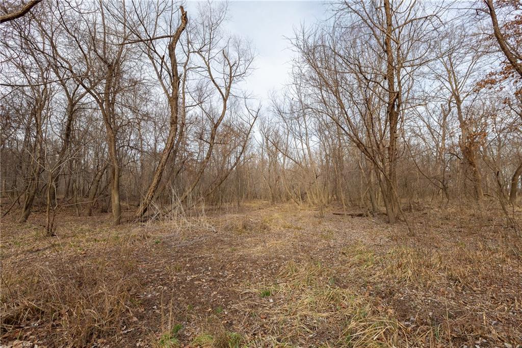 0 520th Road Knob Noster, MO 65336 - Photo 48 of 98