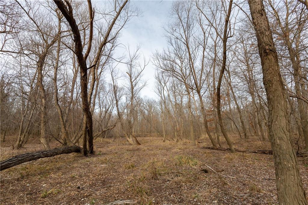 0 520th Road Knob Noster, MO 65336 - Photo 49 of 98