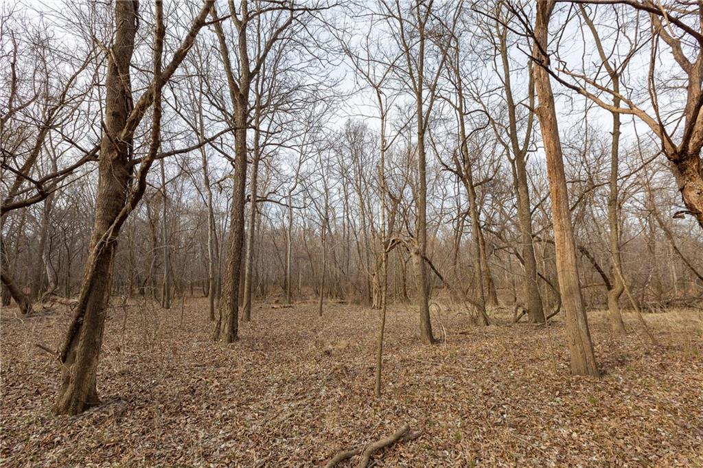 0 520th Road Knob Noster, MO 65336 - Photo 51 of 98